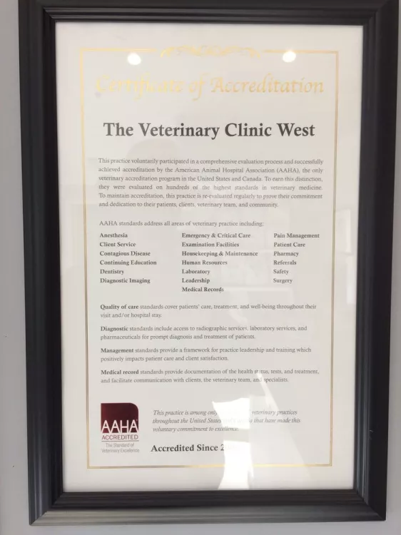 The Veterinary Clinic West, Alabama, Marietta